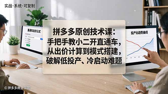拼多多原创技术课：手把手教小二开直通车，从出价计算到模式搭建，破解低投产、冷启动难题-星云网创