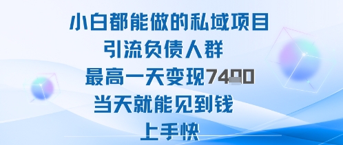 2025年小白都能做的私域项目引流负债人群最高一天变现1k+高变现难度低当天就能见到钱上手快-星云网创