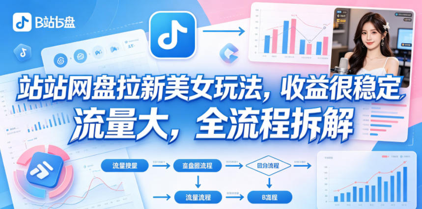 B站网盘拉新美女玩法，收益很稳定，流量大，全流程拆解-星云网创