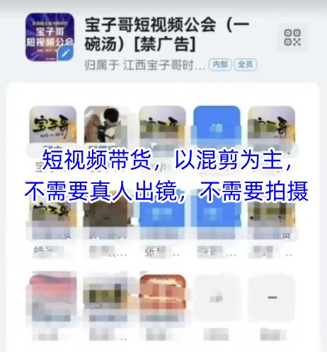 宝子哥头部团队短视频带货，以混剪为主，不需要真人出镜，不需要拍摄【更新8月】-星云网创
