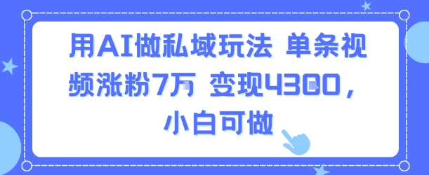 用AI做私域玩法，单条视频涨粉7W变现4.3k，小白可做-星云网创