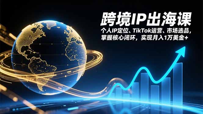 跨境IP出海课,个人IP定位、TikTok运营、市场选品,掌握核心闭环,实现月入1万美金+-星云网创