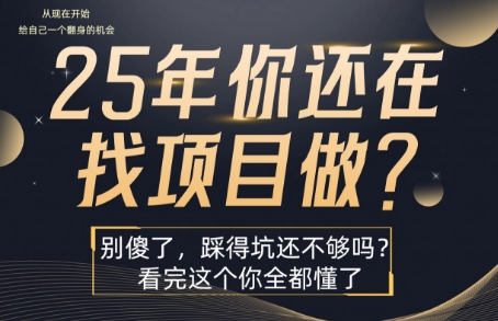 25年，你还在疯狂的找项目吗？别傻了，看完这个你都懂了【揭秘】-云网创