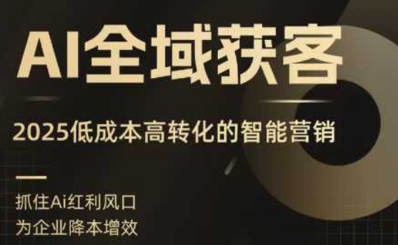 AI全域获客实训营，2025低成本高转化的智能营销，精准找客，高效营销-星云网创