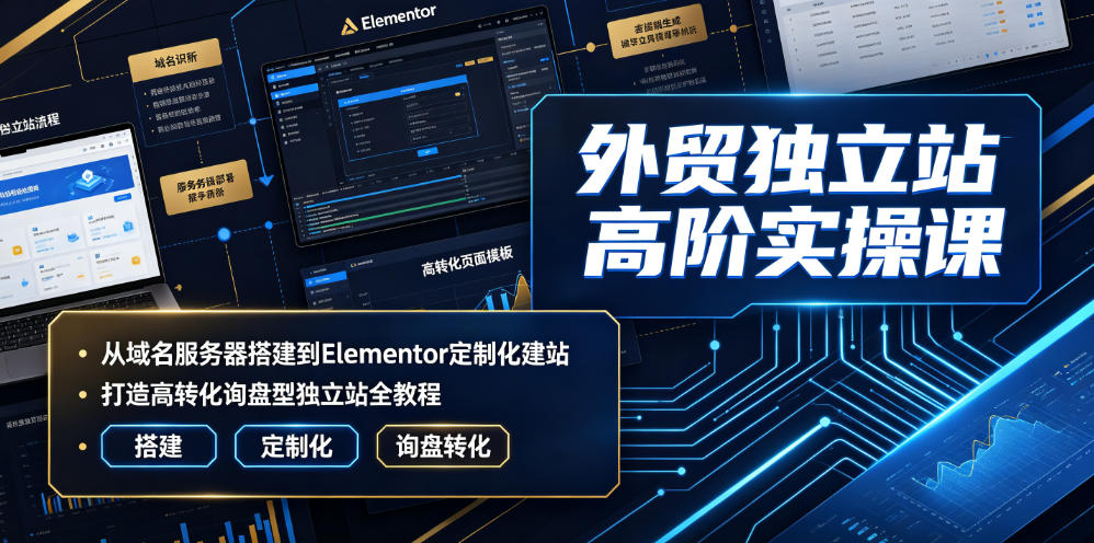 外贸独立站高阶实操课｜从域名服务器搭建到Elementor定制化建站，打造高转化询盘型独立站全教程-星云网创