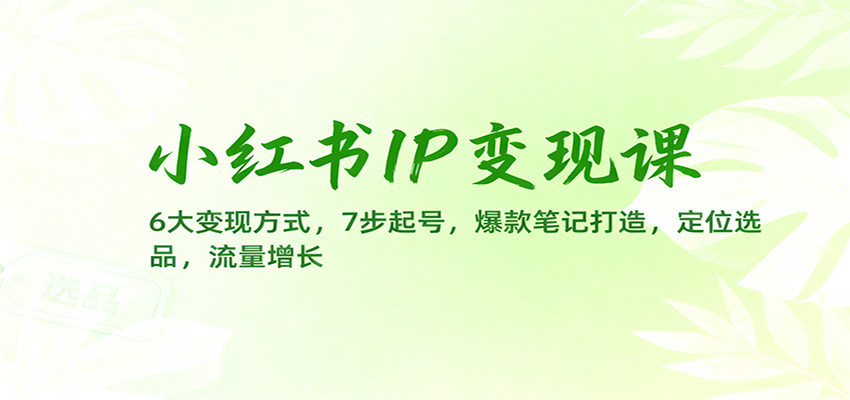 小红书IP变现课：6大变现方式，7步起号，爆款笔记打造，定位选品，流量增长-星云网创