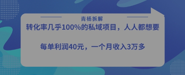 转化率最高的私域项目，每单利润40-50米，月入过1w-星云网创
