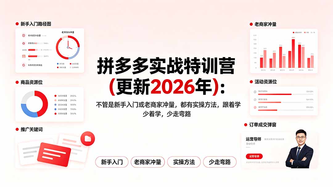拼多多实战特训营(更新2026年-星云网创
