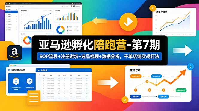 亚马逊孵化陪跑营-第7期：SOP流程+注册避坑+选品梳理+数据分析，千单店铺实战打法-星云网创