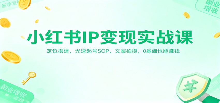 小红书IP变现实战课：定位搭建，光速起号SOP，文案拍摄，0基础也能赚钱-星云网创