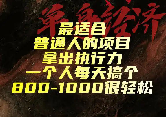 最适合普通人的项目，拿出执行力一个人每天搞个800-1k很轻松【揭秘】-星云网创