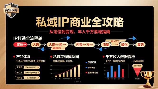 私域IP商业全攻略，从定位到变现，年入千万落地指南-星云网创