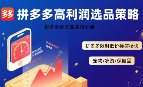 拼多多选品暴利技术实战课，拼多多高利润选品策略，拼多多限时低价标签秘诀-星云网创