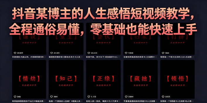 抖音某博主的灰太狼人生感悟短视频教学，全程通俗易懂，零基础也能快速上手-星云网创