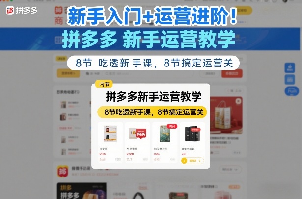 新手入门+运营进阶！拼多多新手运营教学，8节吃透新手课，8节搞定运营关-星云网创