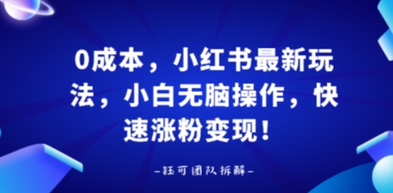 0成本，小红书最新玩法，小白无脑操作，快速涨粉变现-柚子轻创