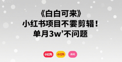小白可来 小红书项目不需要剪辑 单月3w不是问题-星云网创