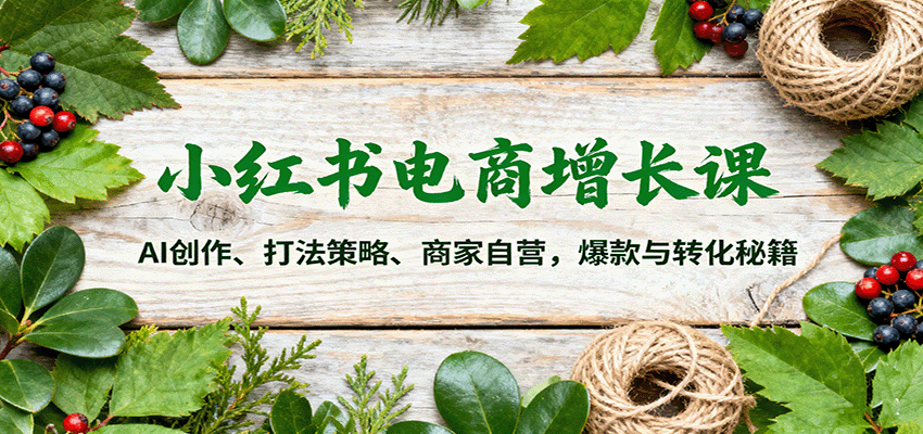 小红书电商增长课：AI创作、打法策略、商家自营，爆款与转化秘籍-星云网创