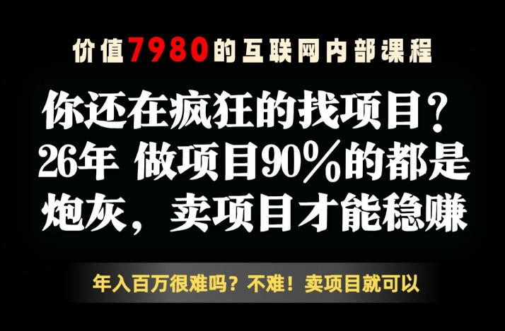 26年请不要疯狂的找项目了，卖项目远比你想象的暴利，你也可以月入10W+【揭秘】-星云网创