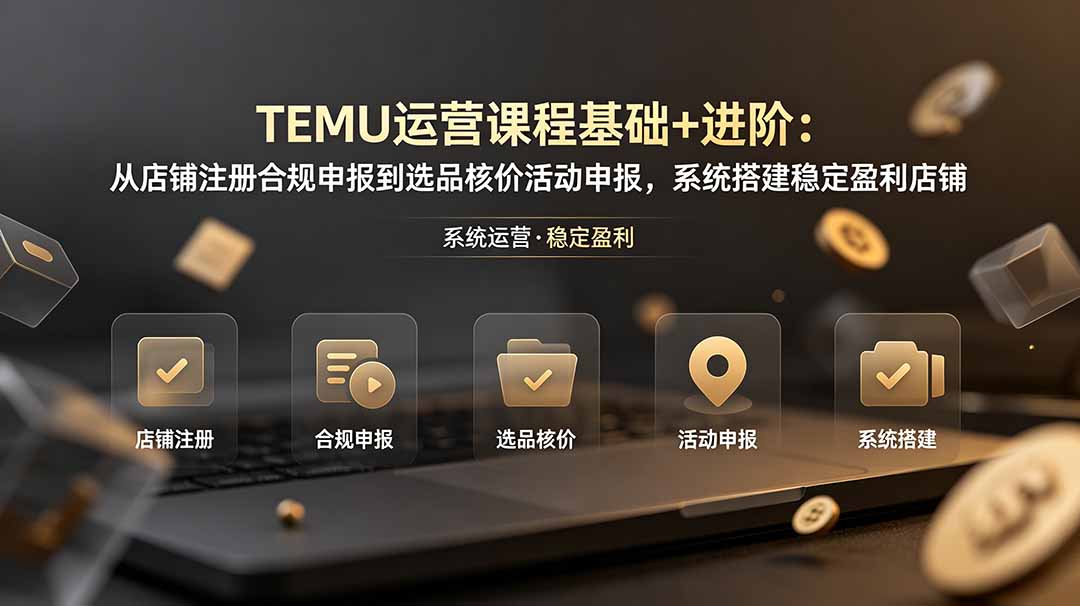 TEMU运营课程(基础+进阶-星云网创
