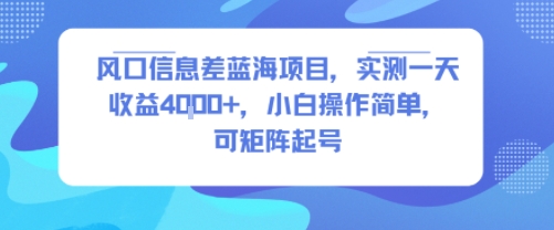风口信息差蓝海项目，实测一天收益4k+，小白操作简单，可矩阵起号-星云网创