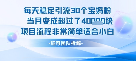 每天稳定引流30个人 当月变成超过了4个W项目流程非常简单适合小白-问题不大网创