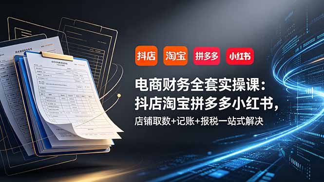电商财务全套实操课：抖店淘宝拼多多小红书，店铺取数+记账+报税一站式解决-星云网创