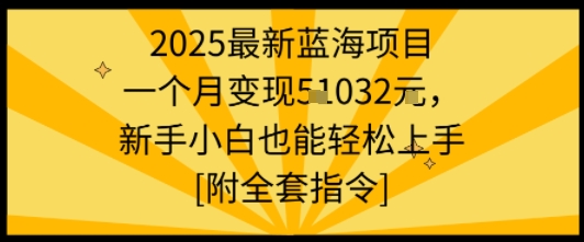 2025最新蓝海项目一个月变现1w+新手小白也能轻松上手【附全套指令】-星云网创