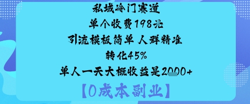 私域冷门赛道:单个收费198米引流模板简单人群精准转化45%单人一天大概收益是1k+-星云网创