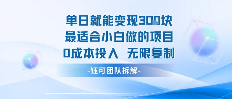 单日就能变现3张最适合小白做的项目0成本投入 无限复制-星云网创