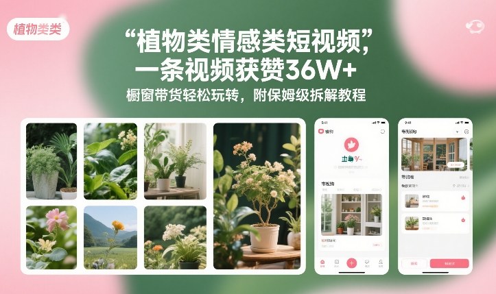 植物类情感类短视频，一条视频获赞36W+，橱窗带货轻松玩转，附保姆级拆解教程-星云网创