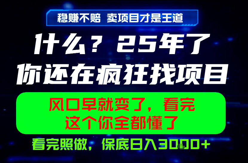 26年，请不要疯狂的找项目做了！卖项目才是真的稳賺不赔，看完照做，保底日入1k+【揭秘】-星云网创