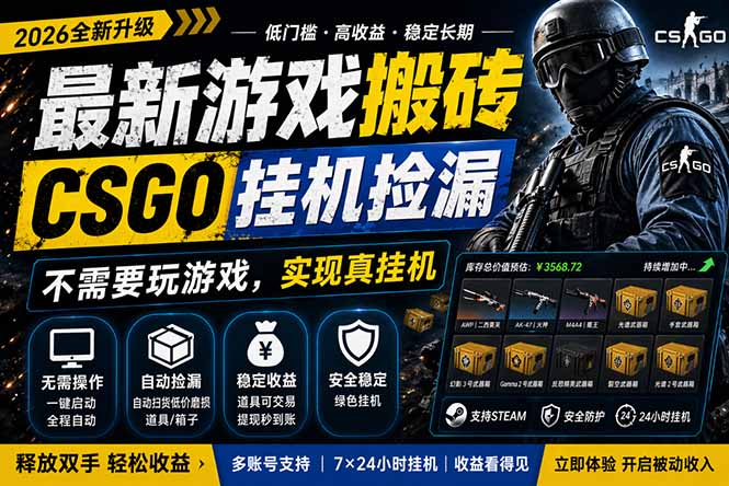 最新游戏搬砖，CSGO纯挂机，不需要玩游戏，实现真挂机，月入1W+，五一小高峰上车可吃肉，…-星云网创