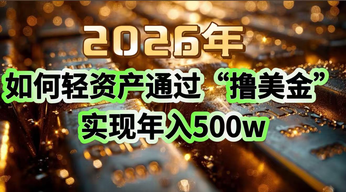 2026年如何轻资产通过“撸美金”实现年入500w-星云网创