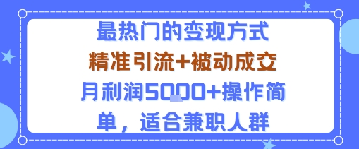 小众赛道玩法:当下最热门的变现方式,精准引流+被动成交月利润5k+操作简单,适合兼职人群-星云网创