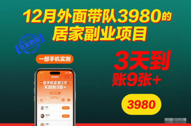 12月外面带队3980的居家副业项目，一部手机实测3天到账9张+，首发教程【揭秘】-星云网创