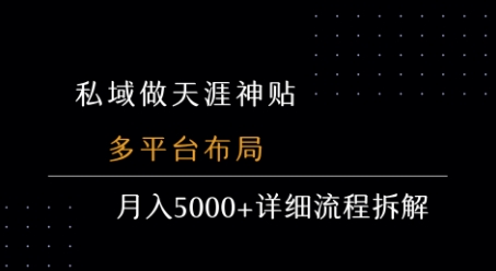 私域做天涯神贴 多平台布局 月入5k+详细流程拆解-星云网创