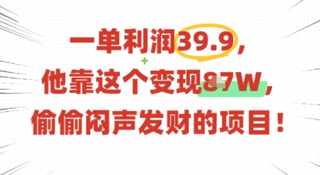 一单利润39.9，有人靠这个变现几十个，偷偷闷声发财的项目-星云网创