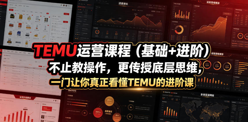 TEMU运营课程(基础+进阶)，不止教操作，更传授底层思维，一门让你真正看懂TEMU的进阶课-星云网创