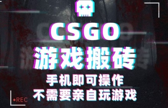 CSGO游戏挂G捡漏，单日扫货5张+，年底小高峰上车可吃肉，手机即可操作，兼职副业创业网创【揭秘】-柚子轻创