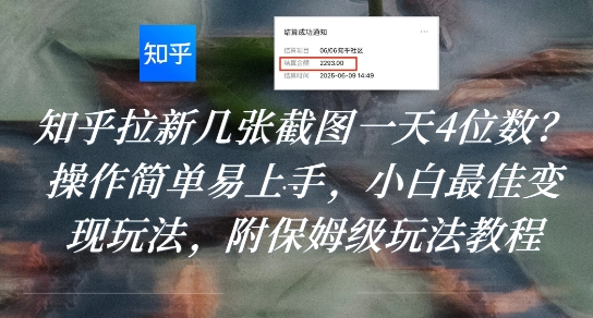 知乎拉新几张截图一天4位数？操作简单易上手，小白最佳变现玩法，附保姆级玩法教程-星云网创