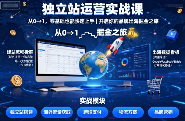 独立站运营实战课，从0到1，零基础也能快速上手，开启你的品牌出海掘金之旅-星云网创