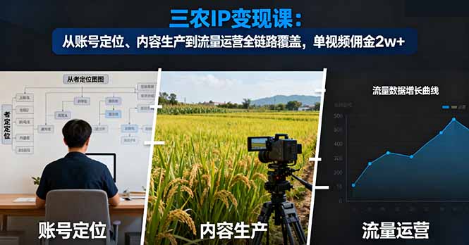 三农IP变现课：从账号定位、内容生产到流量运营全链路覆盖，单视频佣金2w+-星云网创