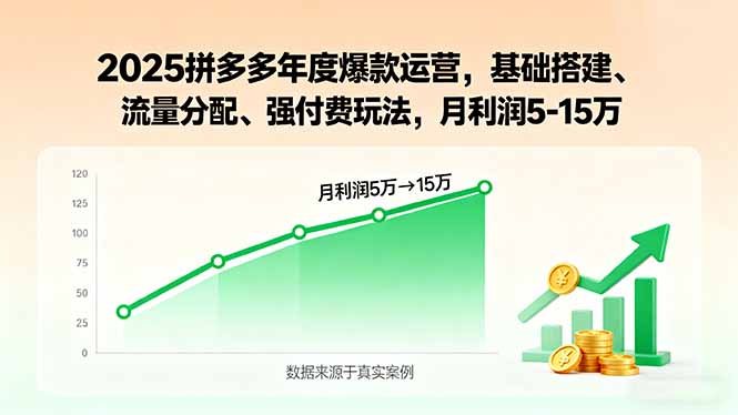 2025拼多多年度爆款运营，基础搭建、流量分配、强付费玩法，月利润5-15万-星云网创