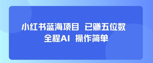 小红书蓝海项目，全程AI，操作简单，已挣五位数-星云网创