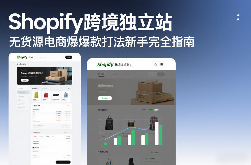 Shopify跨境独立站无货源电商爆款打法新手完全指南-星云网创