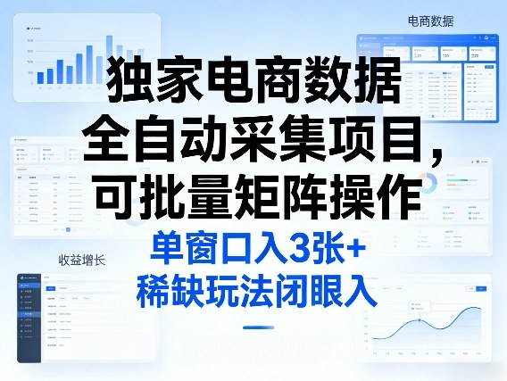 独家电商数据全自动采集项目，可批量矩阵操作，单窗口日入3张+，稀缺玩法闭眼入【揭秘】-星云网创