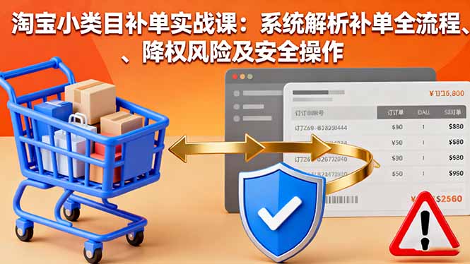 淘宝小类目补单实战课：系统解析补单全流程、降权风险及安全操作-星云网创