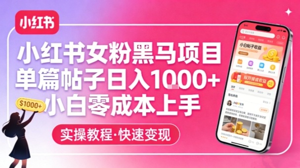 小红书女粉黑马项目，单篇帖子日入1k+，小白零成本上手-星云网创