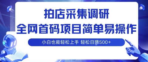 拍店采集调研，全网首码项目，简单易操作， 小白也能轻松上手，多账号操作，轻松日入5张【揭秘】-星云网创